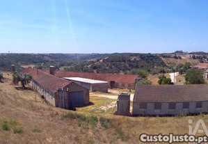 imagem_11
