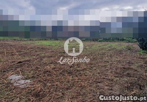 imagem_13