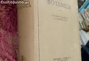 imagem_2