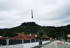 imagem_7