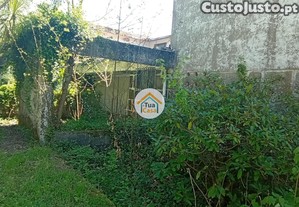 imagem_30