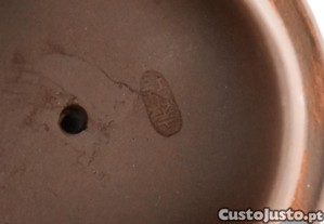 imagem_10