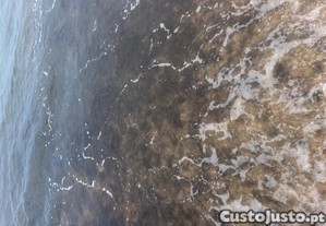 imagem_9