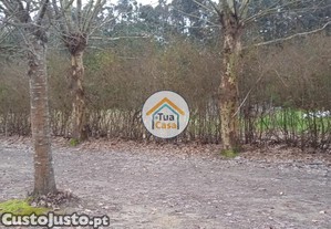 imagem_18