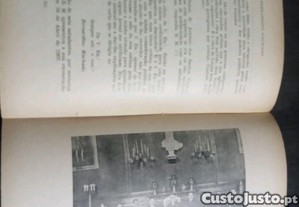 imagem_8