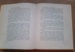 imagem_7