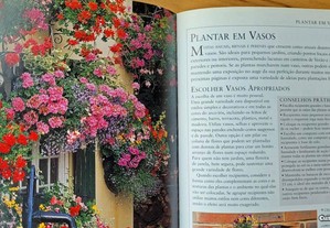 imagem_8