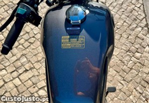 imagem_10