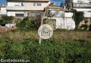 imagem_8