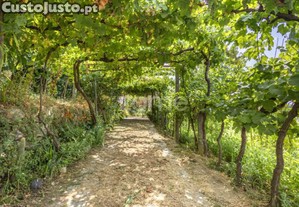 Moradia T4 Com Dois Terrenos E Pomar Variado,...