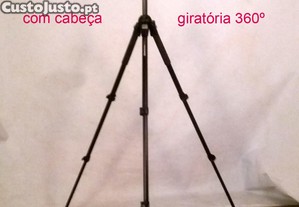 imagem_6