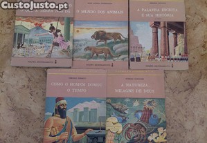 imagem_1