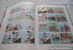 imagem_6