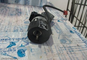imagem_7