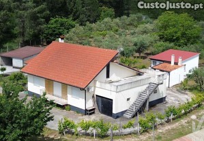 imagem_14