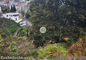 imagem_7