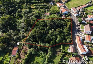 Oportunidade �nica: Casa em Ru�na com Amplo Terreno   Rua do Bairro de S�o Pedro, Biscoitos