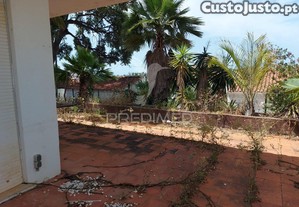 imagem_8