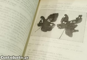 imagem_9