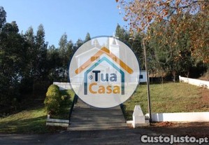 imagem_13