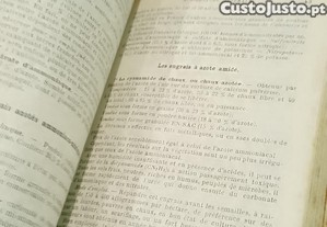 imagem_6