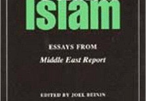 Political Islam: Essays from Middle East Report
