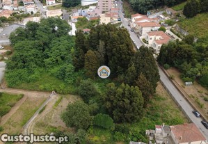 imagem_11