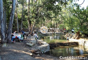 imagem_12