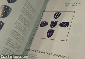 imagem_10
