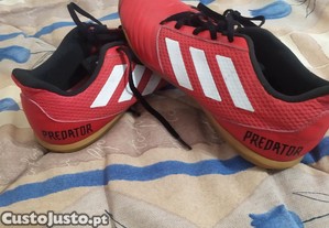 imagem_1