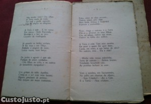 imagem_6