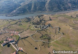 Quinta Na Régua Para Produção Vinícola