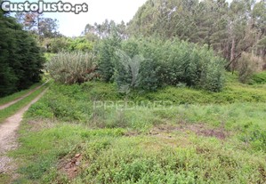 Terreno com possibilidade de construo