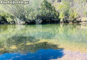 imagem_19