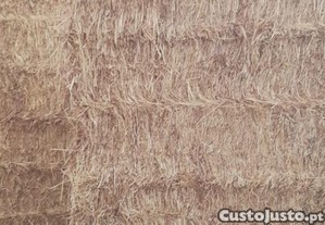 Feno semeado de mistura
