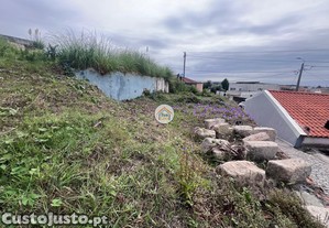 imagem_24