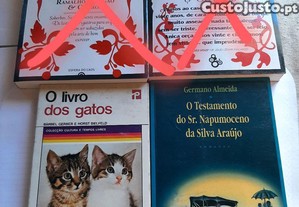 imagem_7