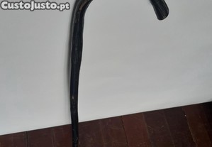 imagem_8