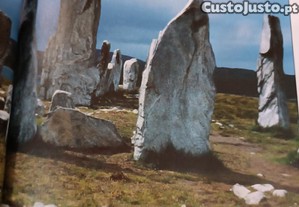imagem_5