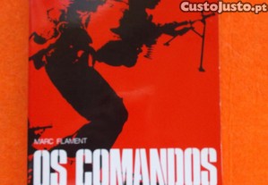 imagem_1