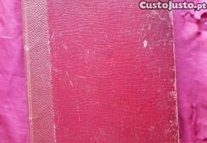 imagem_2