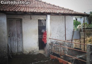 imagem_15