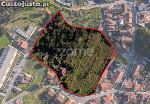 Quinta, Com Moradia Habitável E Terreno De...
