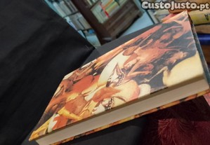 imagem_4