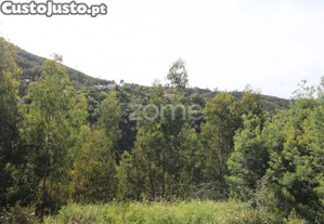 Terreno Rústico Com 5.400 M² - Pontalinhos,...
