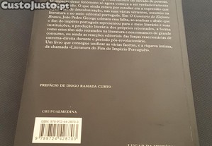 imagem_4