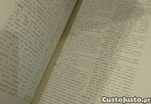 imagem_10