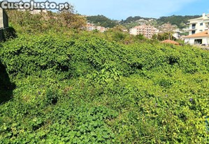 Terreno em Canio de 1910,00 m