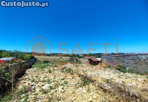 imagem_1