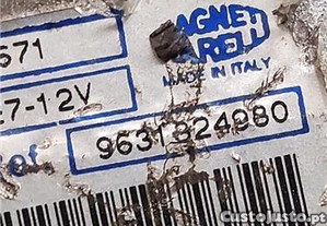imagem_2
